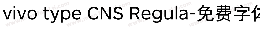 vivo type CNS Regula字体转换